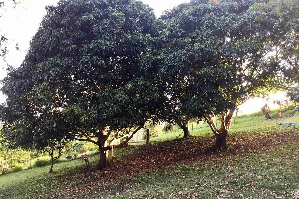 Green Hill Cottage, Heart Of Noosa Hinterland Kin Kin