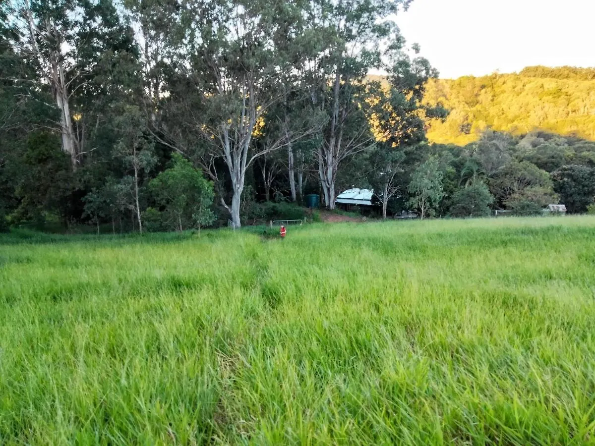 Green Hill Cottage, Heart Of Noosa Hinterland Kin Kin 0*,  Australia